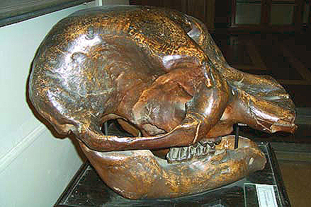 deinotherium