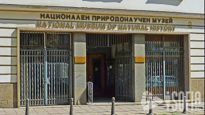 Национален Природонаучен Музей (НПМ)