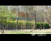 Виктория Ловен парк